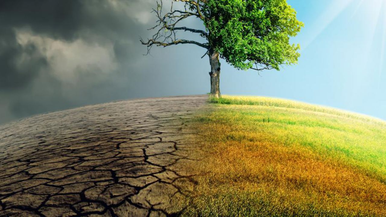 L'UE comunicherà al vertice delle Nazioni Unite che intende aumentare l'obiettivo climatico nel 2023